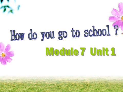 二年级上册英语（外研一起点）Module 7 Unit 1 How do you go to school？ 课件 1第1页