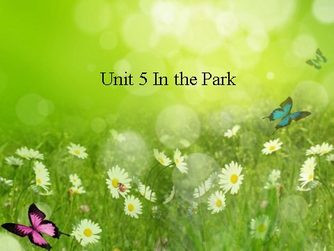 二年级上册英语（SL版）Unit 5 In the Park第1页