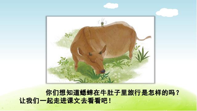 三年级上册语文语文《第10课:在牛肚子里旅行》第3页