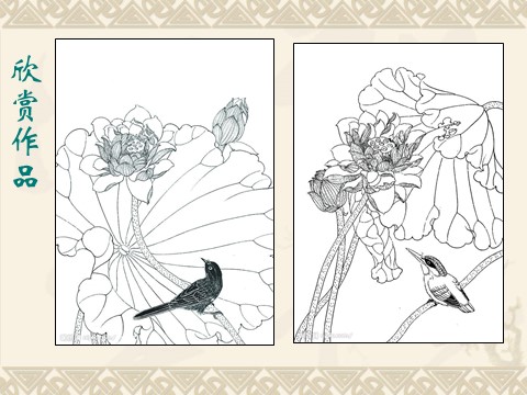 三年级上册美术中国画之工笔画――白描花卉第10页