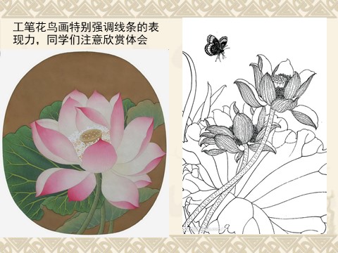 三年级上册美术中国画之工笔画――白描花卉第9页