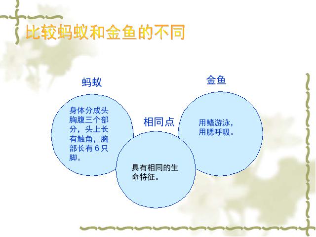 三年级上册科学第二单元“动物”《2.6金鱼》(科学)第7页