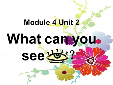 三年级上册英语（外研一起点）Module 4 Unit 2 What can you see.课件2第1页