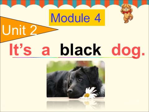 三年级上册英语（外研三起点）Unit 2 It's a black dog 课件 1第1页