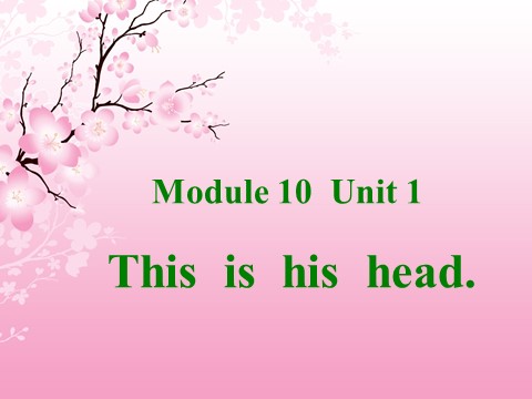 三年级上册英语（外研三起点）Module 10 Unit 1 This is his head 课件第1页