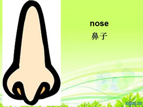 三年级上册英语（外研三起点）Module 10Unit 2 Point to her nose》PPT课件 (4)外研三年级起点三年级上册《第2页