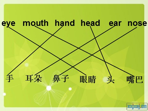 三年级上册英语（外研三起点）M10U2-1 课件第7页