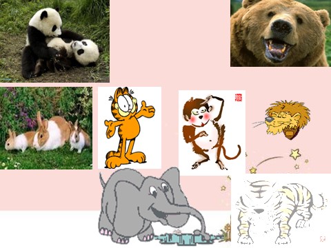 三年级下册美术《保护珍稀野生动物》课件1第4页