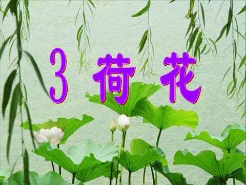 三年级下册语文（新人教版）3 荷花第2页