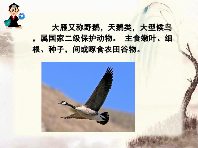 三年级下册语文（旧人教版）语文第10课-《惊弓之鸟》（第六册）第5页