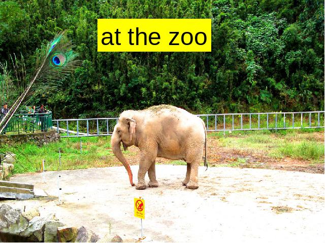 三年级下册英语(PEP版)PEP英语Unit 3《At the zoo第一课时》下载第7页