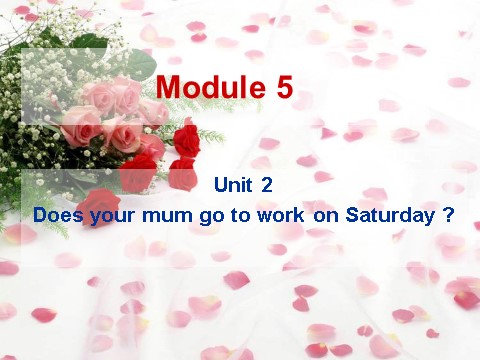 三年级下册英语（外研版三起点）原创Does your mum go to work on Saturdaysppt课件第1页