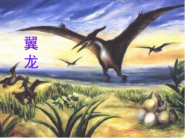 四年级上册语文（人教版）语文“第31课”《飞向蓝天的恐龙》第5页