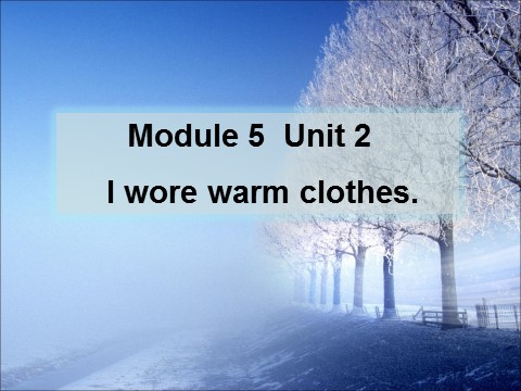 四年级上册英语（外研一起点）Module 5 Unit 2 I wore warm clothes. 课件第1页
