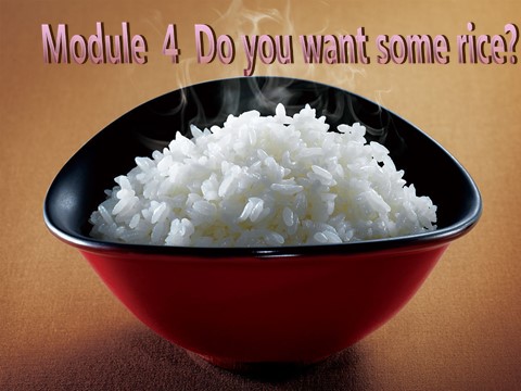 四年级上册英语（外研三起点）Module 4《Unit 1 Do you want some rice》ppt课件4第1页