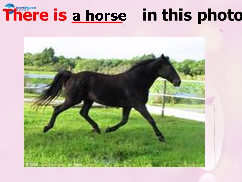 四年级上册英语（外研三起点）Module 7 Unit 1 There is a horse in this photo课件3 外研版（三起）第3页