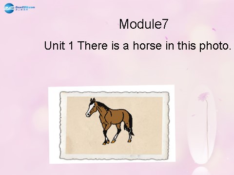 四年级上册英语（外研三起点）Module 7 Unit 1 There is a horse in this photo课件4 外研版（三起）第1页
