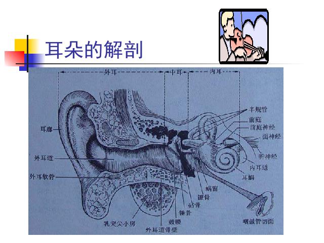 四年级上册科学科学《3.7保护我们的听力》第2页