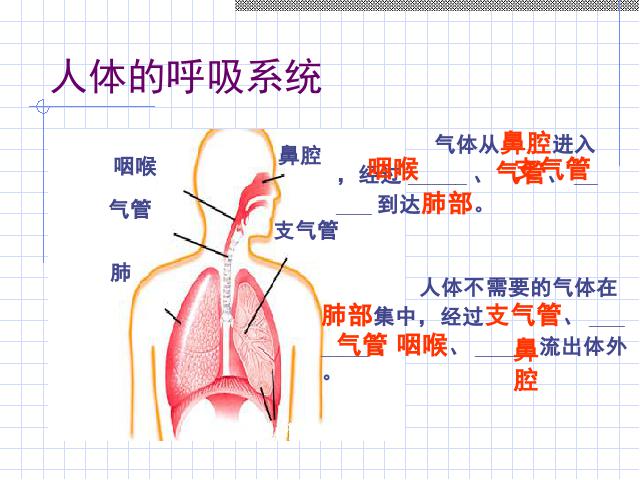 四年级上册科学《4.3运动起来会怎样（一）》下载第5页