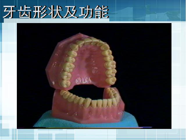 四年级上册科学《4.6食物在口腔里的变化》(科学)第5页