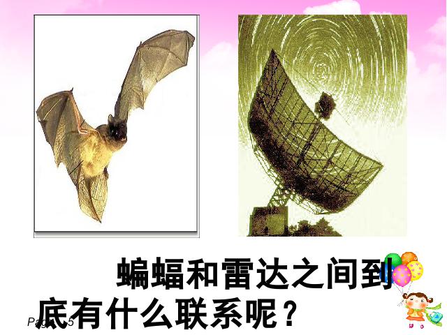 四年级下册语文语文第11课-《蝙蝠和雷达》（第八册）第5页