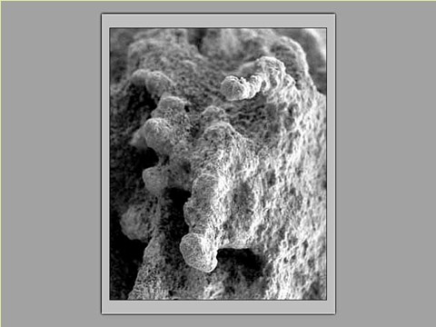 四年级下册科学（教科版）“岩石和矿物”各种各样的岩石ppt课件(科学下第4页
