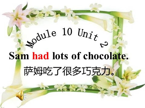 四年级下册英语（外研版三起点）公开课Module10 Unit2 Sam had lots of chocolateppt课件第1页