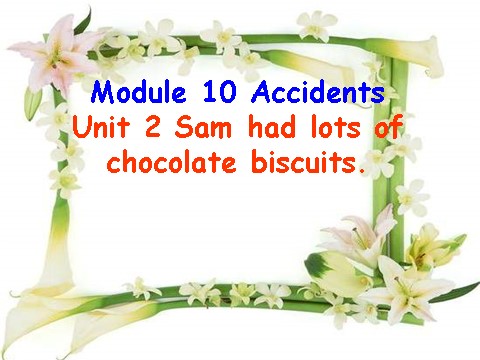 四年级下册英语（外研版三起点）Module10 Sam had lots of chocolateppt课件第1页