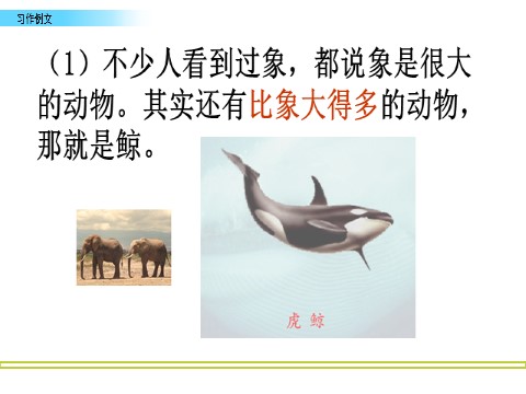 五年级上册语文（部编版）习作例文：《鲸》《风向袋的制作》第7页