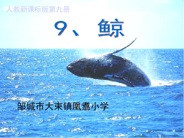 五年级上册语文语文第三组“第9课”《鲸》第1页