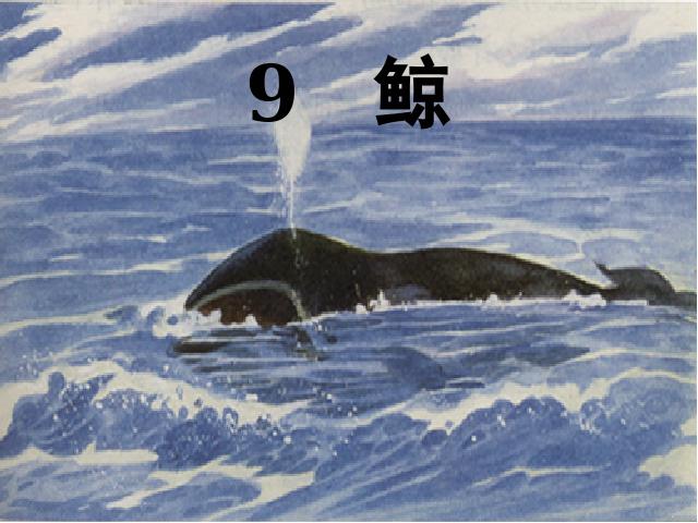 五年级上册语文《第9课：鲸》(语文)第2页