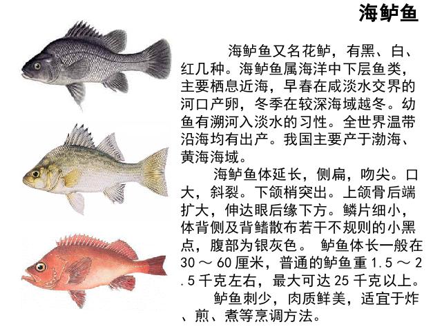 五年级上册语文《第13课：钓鱼的启示》(语文人教第9页
