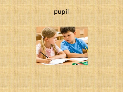 五年级上册英语（科普版）Lesson 3 HOW MANY PUPILS ARE THERE 课件2第4页