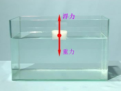 五年级下册科学（教科版）科学第一单元“沉和浮”浮力ppt课件第3页