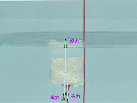 五年级下册科学（教科版）科学第一单元“沉和浮”浮力ppt教学课件第5页