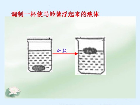 五年级下册科学（教科版）科学马铃薯在液体中的沉浮ppt课件第6页