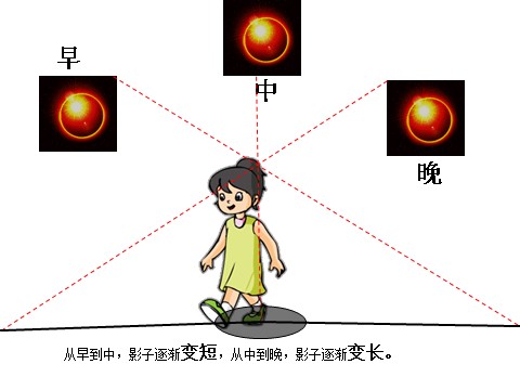 五年级下册科学（教科版）科学第四单元为什么一年有四季ppt课件第7页