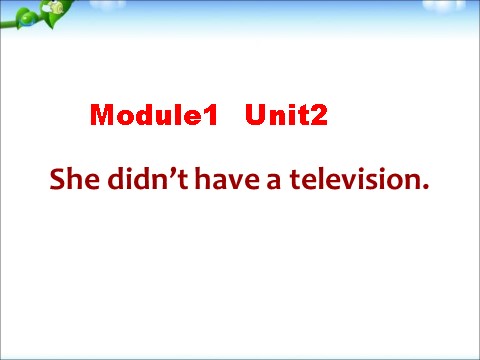五年级下册英语（外研版三起点）外研版英语Module1 She didn't have a televisionppt课件第1页