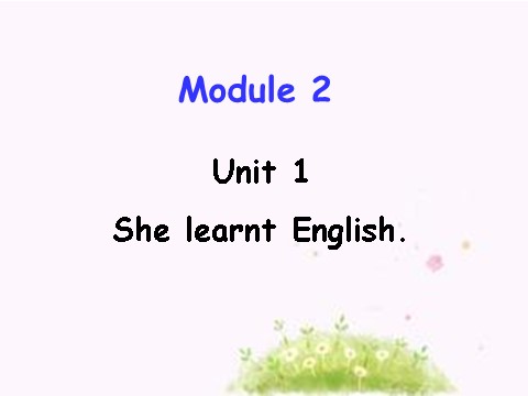 五年级下册英语（外研版三起点）英语Unit1 She learnt Englishppt课件第1页