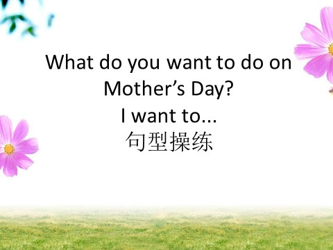 五年级下册英语(SL版)Unit 3 Making Contact Lesson 1—What do you want to do on...操练第1页