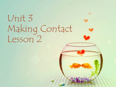 五年级下册英语(SL版)Unit 3 Making Contact Lesson 2 课件 1第1页