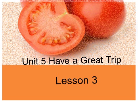 五年级下册英语(SL版)Unit 5 Have a Great Trip Lesson 3 课件 2第1页