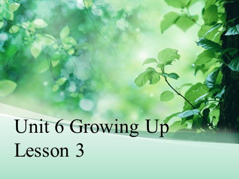 五年级下册英语(SL版)Unit 6 Growing Up Lesson 3 课件 2第1页