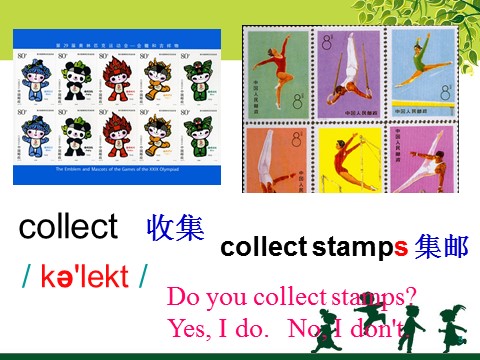 六年级上册英语（外研一起点）Module 3 Unit 2 Collecting stamps is my hobby 课件第5页