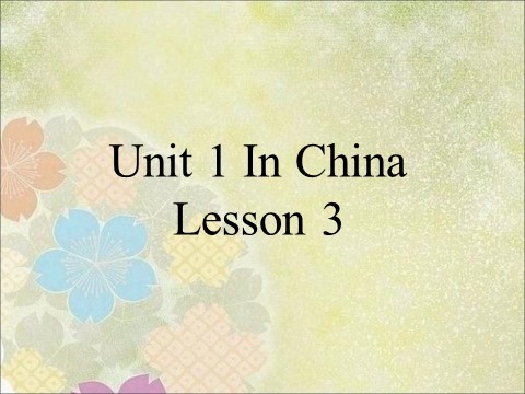 六年级上册英语（SL版）Unit 1 In China Lesson 3 课件 3第1页