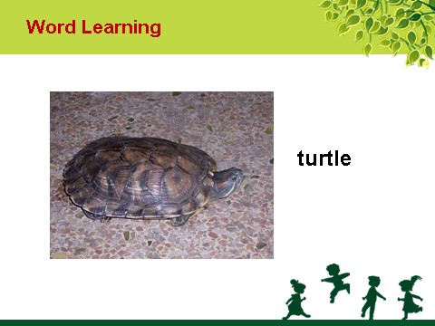 六年级上册英语（SL版）Unit 3 Animal World Lesson 2 课件 2第5页