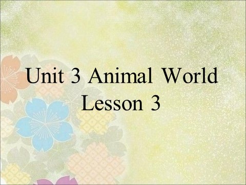 六年级上册英语（SL版）Unit 3 Animal World Lesson 3 课件 3第1页