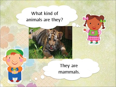 六年级上册英语（SL版）Unit 3 Animal World Lesson 3 课件 3第10页