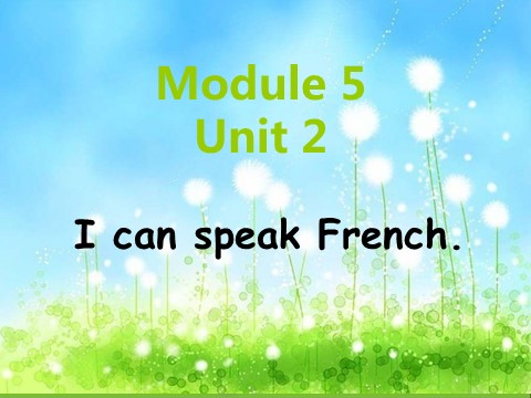 六年级上册英语（外研三起点）Module 5 Unit 2 I can speak Frenc第1页