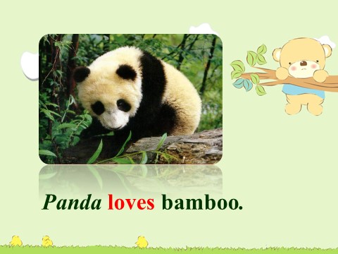 六年级上册英语（外研三起点）Module 7 Unit 2 Pandas love bamboo第4页